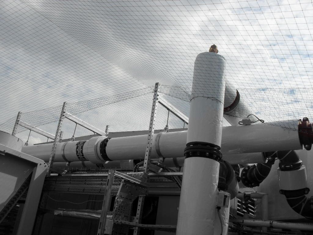 Bird Control in Walsall, West Midlands